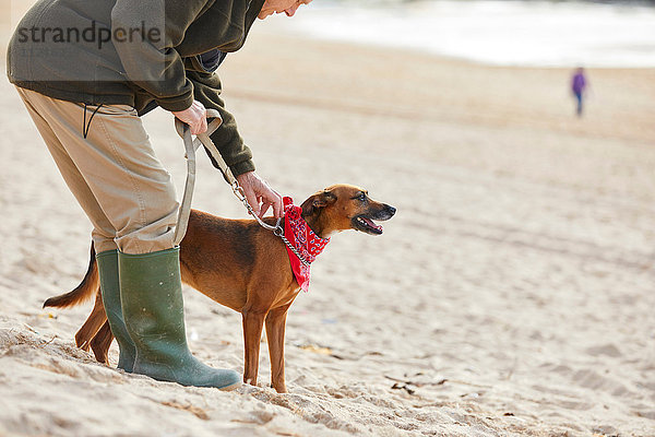 Mann und Hund am Strand  Constantine Bay  Cornwall  UK