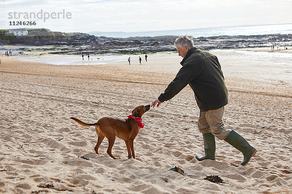 Mann und Hund am Strand  Constantine Bay  Cornwall  UK