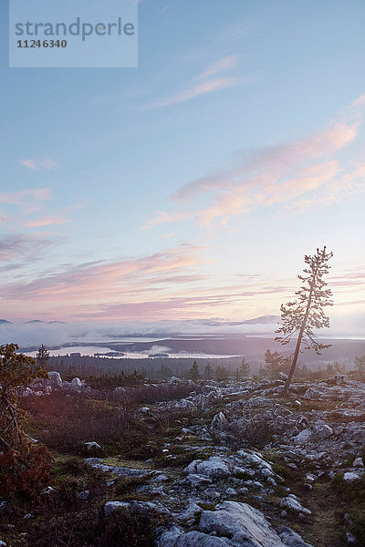 Sonnenuntergang über der Landschaft  Sarkitunturi  Lappland  Finnland