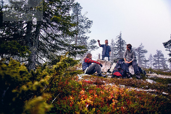 Wanderer entspannen und unterhalten sich im Park  Sarkitunturi  Lappland  Finnland