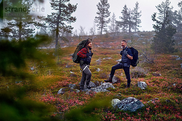 Wanderer warten im Park  Sarkitunturi  Lappland  Finnland