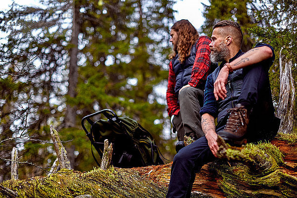 Wanderer ruhen sich auf umgestürztem Baum aus  Sarkitunturi  Lappland  Finnland