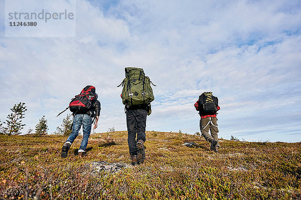 Wanderer überqueren Feld  Keimiotunturi  Lappland  Finnland