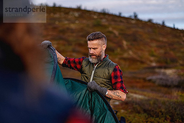 Wanderer beim Zeltaufbau  Keimiotunturi  Lappland  Finnland