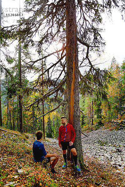 Wanderer rasten am Baum im Wald  Kesankitunturi  Lappland  Finnland