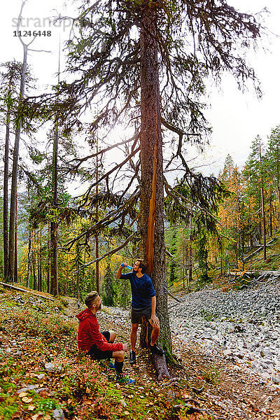 Wanderer rasten am Baum im Wald  Kesankitunturi  Lappland  Finnland