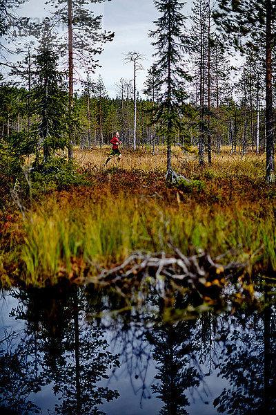 Im Wald laufender Mann  Kesankitunturi  Lappland  Finnland