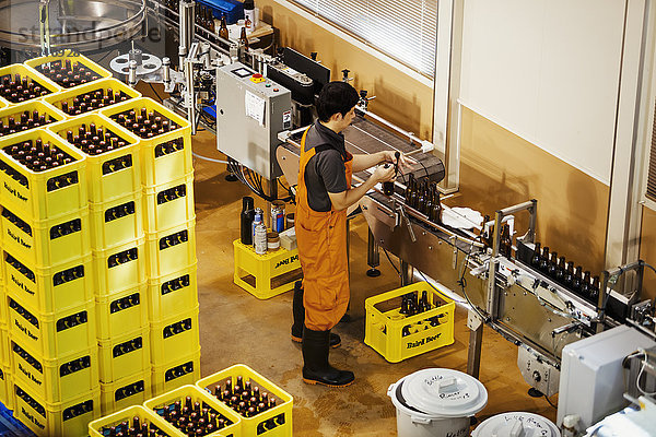 Arbeiter  der in einer Brauerei neben gelben Plastikkisten mit Bierflaschen steht.