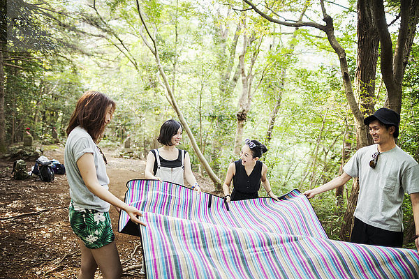 Drei junge Frauen und ein Mann stehen in einem Wald und halten einen Picknickteppich in der Hand.
