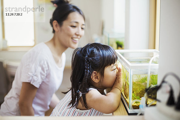 Familienhaus. Eine Frau und ein Kind sehen sich die Fische in einem tropischen Aquarium an.