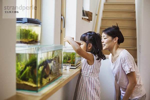 Familienhaus. Eine Mutter und ihre Tochter schauen sich die Fische in einem Aquarium auf einer Fensterbank an.
