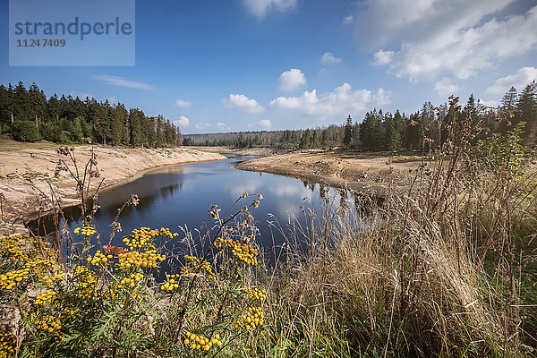 Oderteich  Oberharzer Wasserregal  Niedersachsen  Deutschland  Europa