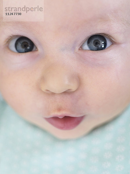 Porträt eines kleinen Jungen (2-5 Monate)