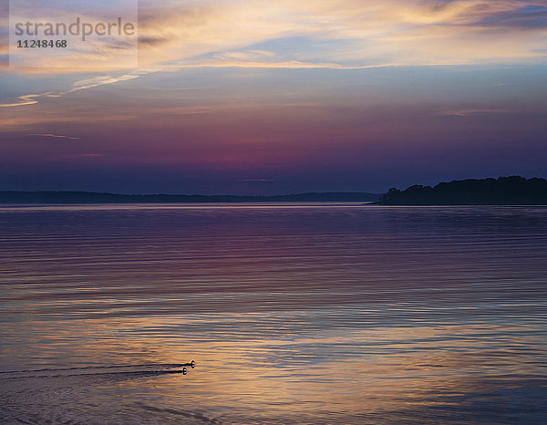 Bunte Meereslandschaft bei Sonnenaufgang