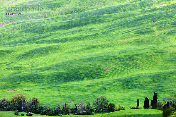 Grüne Hügellandschaft