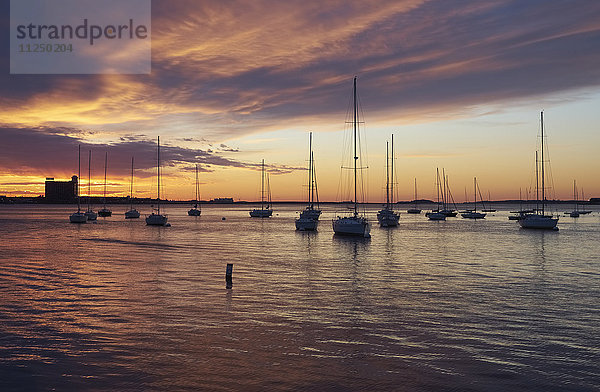 Boote im Hafen bei Sonnenaufgang