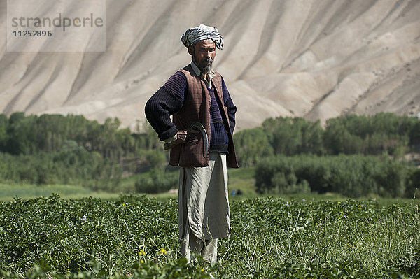 Die kargen Hügel des Bamiyan-Tals in Zentralafghanistan scheinen wenig zu versprechen  aber die Schneeschmelze bewässert die Felder  Provinz Bamiyan  Afghanistan  Asien