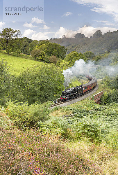 Eine Dampflokomotive nähert sich Goathland von Grosmont im September 2016  North Yorkshire  Yorkshire  England  Vereinigtes Königreich  Europa