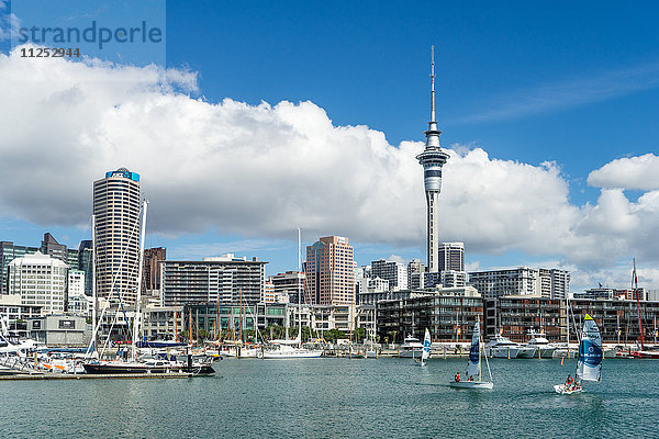 Kleine Segelboote fahren im Hafen von Auckland vor der Skyline der Stadt  Auckland  Nordinsel  Neuseeland  Pazifik