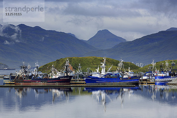 Carl E. Moses Boat Harbor  Dutch Harbor  Amaknak Island  Aleuten  Alaska  Vereinigte Staaten von Amerika  Nordamerika