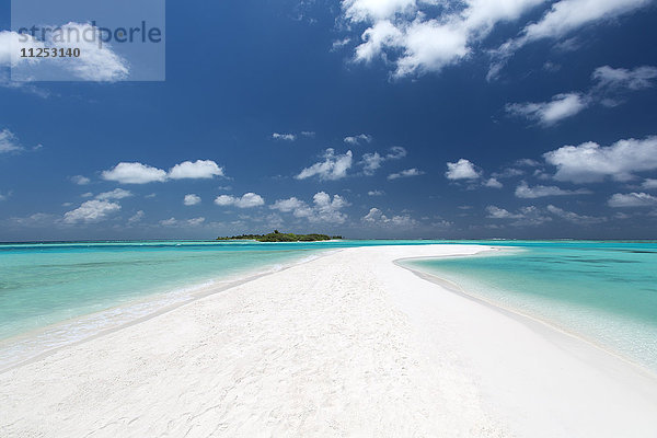 Sandbank und tropische Insel  Malediven  Indischer Ozean  Asien