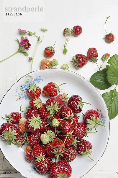 Erdbeeren in Porzellanschale auf Holzuntergrund