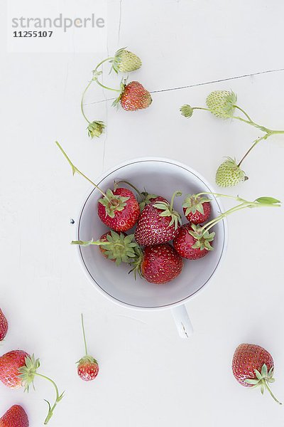 Erdbeeren in Porzellantasse auf weissem Holzuntergrund