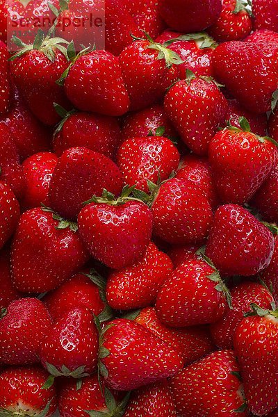 Viele Erdbeeren (bildfüllend)
