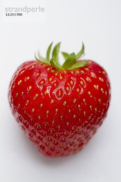 Eine Erdbeere vor weissem Hintergrund (Nahaufnahme)
