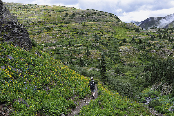 USA  Colorado  Mann geht im San Juan National Forest die Berge hinunter