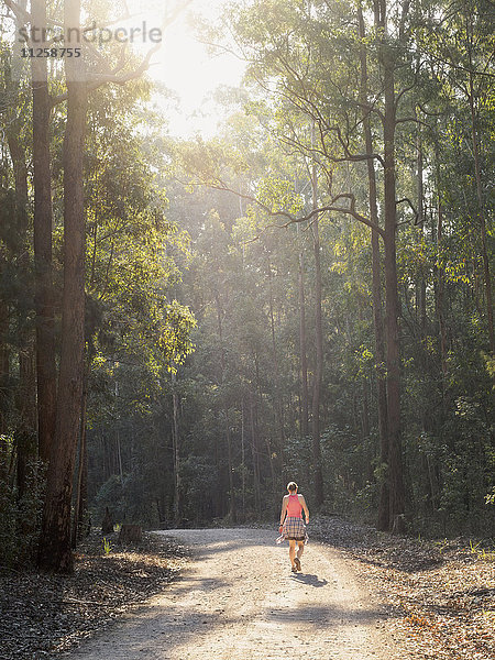Australien  New South Wales  Port Macquarie  Rückansicht einer reifen Frau  die einen Feldweg im Wald entlangläuft