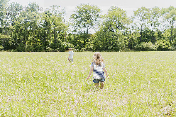 USA  Pennsylvania  Washington Crossing  Kinder (2-3  4-5) gehen auf einer grünen Wiese