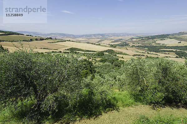 Italien  Toskana  Pienza  Landschaft mit blauem Himmel