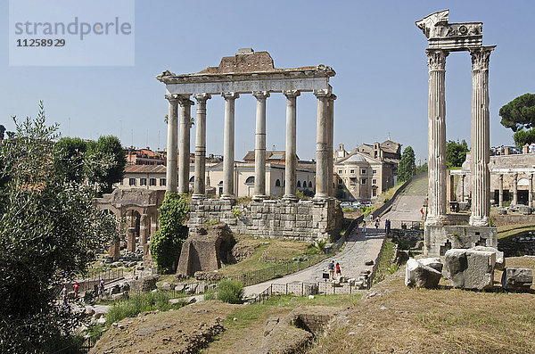 Italien  Rom  Klarer Himmel über Forum Romanum