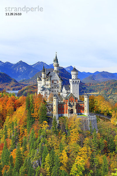 Schloss Neuschwanstein  Bayern  Deutschland  Europa