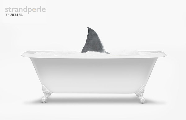 In der Badewanne schwimmende Haifischflosse