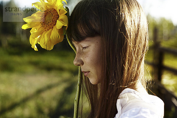 Profil eines kaukasischen Mädchens mit Sommersprossen  das eine Sonnenblume hält