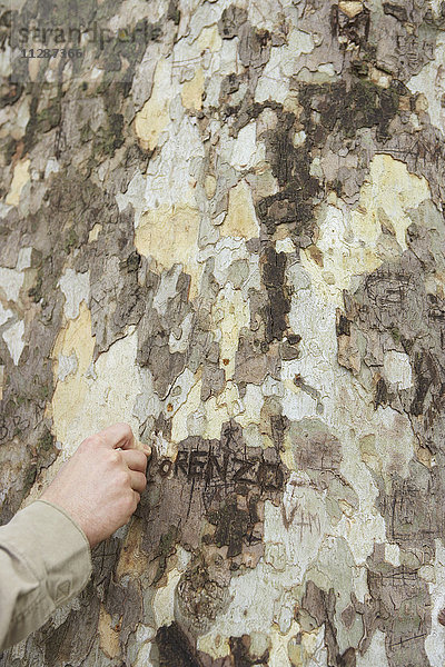 Mann schnitzt Namen in Baum