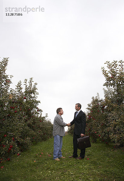 Geschäftsmann und Landwirt im Obstgarten