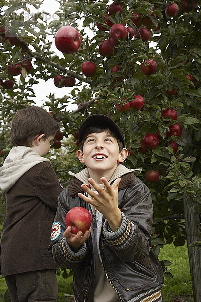 Jungen im Apfelgarten
