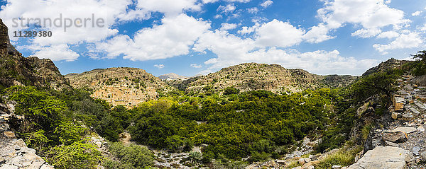 Oman  Jabal Akhdar  Verlassenes Dorf Wadi Bani Habin