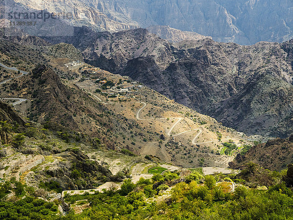 Oman  Jabal Akhdar  Sayq-Plateau