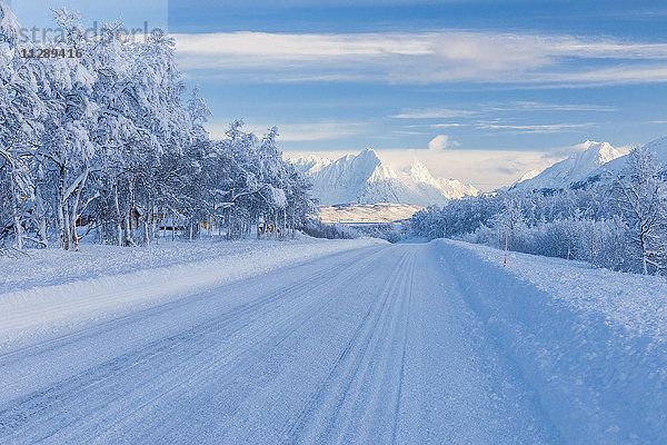 Verschneite Straße im Winter  Breivikeidet  Troms  Norwegen