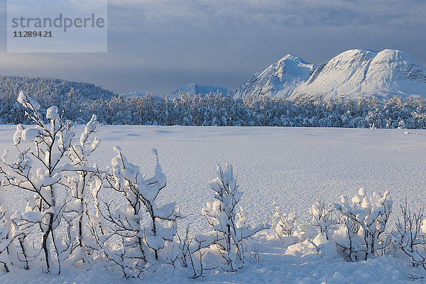 Verschneite Winterlandschaft mit Bergen in Breivikeidet  Troms  Norwegen