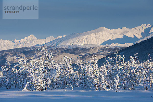 Verschneite Winterlandschaft mit Bergen in Breivikeidet  Troms  Norwegen