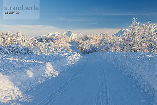 Verschneite Straße mit Bergen im Winter  Breivikeidet  Troms  Norwegen