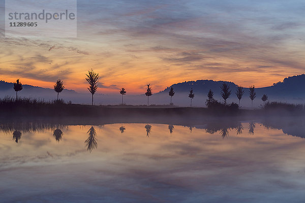 Landschaft mit Baumreihe  die sich in der Morgendämmerung im See spiegelt  Drei Gleichen  Ilm-Kreis  Thüringen  Deutschland