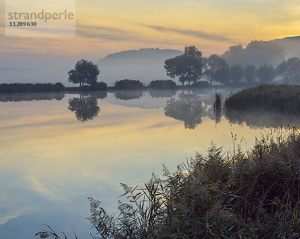 Landschaft mit sich im See spiegelnden Bäumen in der Morgendämmerung  Drei Gleichen  Ilm-Kreis  Thüringen  Deutschland