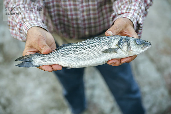 Älterer Mann zeigt gefangenen Fisch