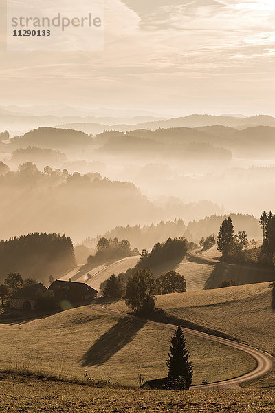 Österreich  Muhlviertel  Herbstlandschaft bei Sonnenaufgang